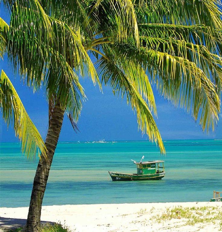 Villas Do Pratagy Acerola Maceió المظهر الخارجي الصورة